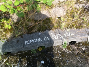 Pomona CA. is 5273.661 miles in straight line distance from this point.